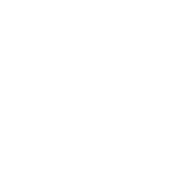 OTV (Olive Tree Ventures)