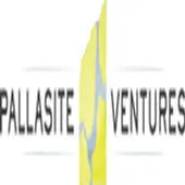 Pallasite Ventures
