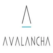Avalancha Ventures