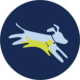 Leap Venture Studio