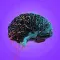 Top VCs Currently Investing in AI