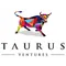 Taurus Ventures