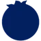 Blueberry Ventures