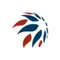 Asia Venture Group