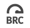 Brain Robotics Capital