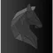 Dark Horse Ventures
