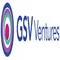 GSV Ventures