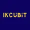Incubit Technology Ventures