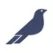 Blackfinch Ventures