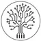 Root Ventures