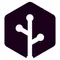 Auriga Cyber Ventures
