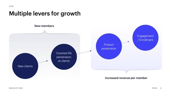 Revenue growth strategy slide
