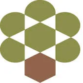Olive Tree Capital